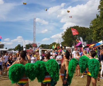 Festival t-shirt cannon hire